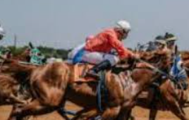 วิเคราะห์สายพันธุ์ม้า ufabet เพื่อการเดิมพันแข่งม้าอย่างมีประสิทธิภาพ